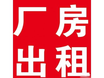 3619-1底层300平米小厂房招租
